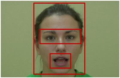 Monolingual and bilingual infants' attention to talking faces: evidence from eye-tracking and Bayesian modeling